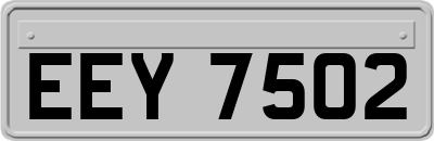 EEY7502