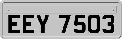 EEY7503