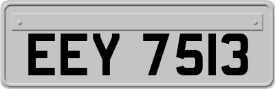 EEY7513
