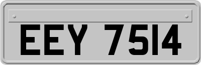 EEY7514