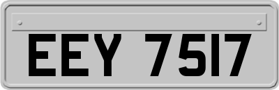 EEY7517