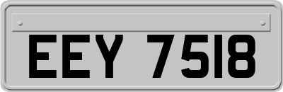 EEY7518