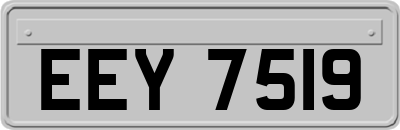EEY7519