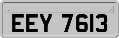 EEY7613