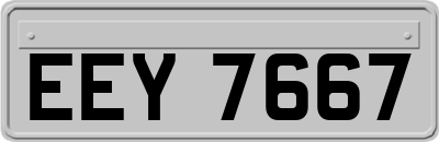 EEY7667