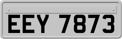 EEY7873