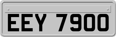 EEY7900