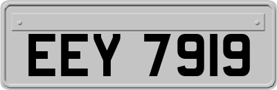EEY7919