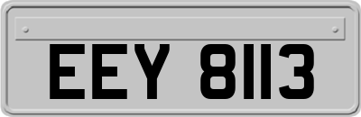 EEY8113