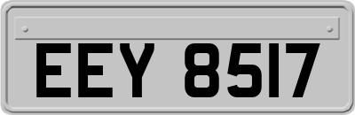 EEY8517