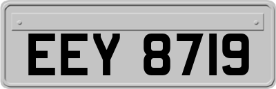 EEY8719