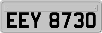 EEY8730