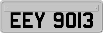 EEY9013