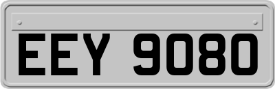 EEY9080