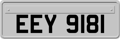 EEY9181