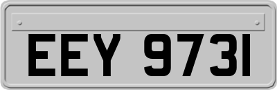 EEY9731