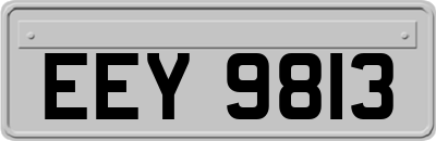 EEY9813