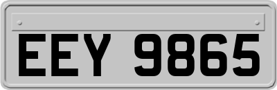 EEY9865