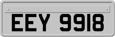 EEY9918
