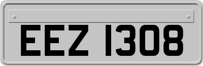 EEZ1308