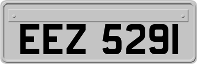EEZ5291