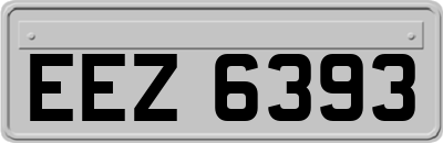 EEZ6393