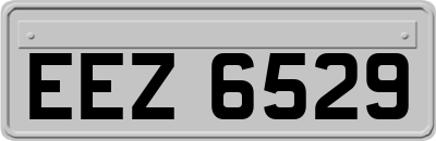 EEZ6529