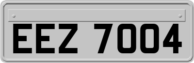 EEZ7004
