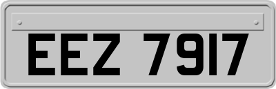 EEZ7917