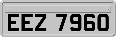 EEZ7960