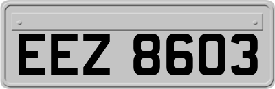EEZ8603
