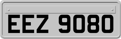EEZ9080