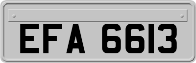 EFA6613
