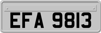 EFA9813