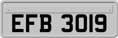 EFB3019