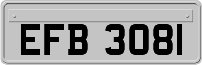 EFB3081