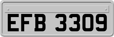 EFB3309
