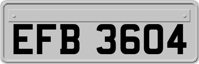 EFB3604