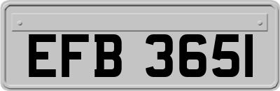 EFB3651