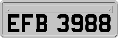 EFB3988