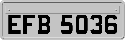 EFB5036