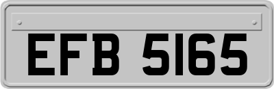 EFB5165