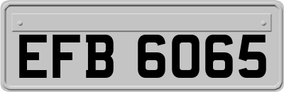 EFB6065