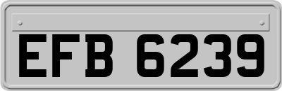 EFB6239