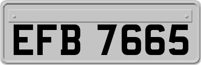 EFB7665
