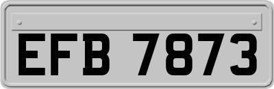 EFB7873