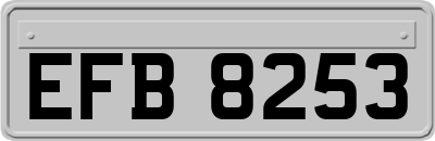EFB8253