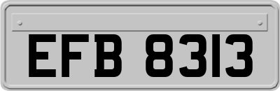EFB8313