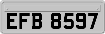 EFB8597