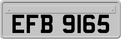 EFB9165